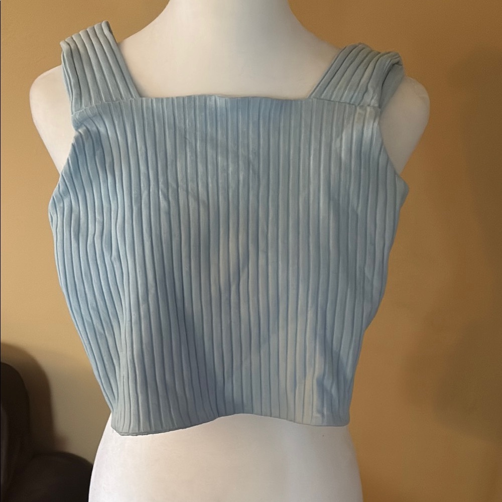 American Eagle Outfitters Blue Ribbed Crop Tank Top